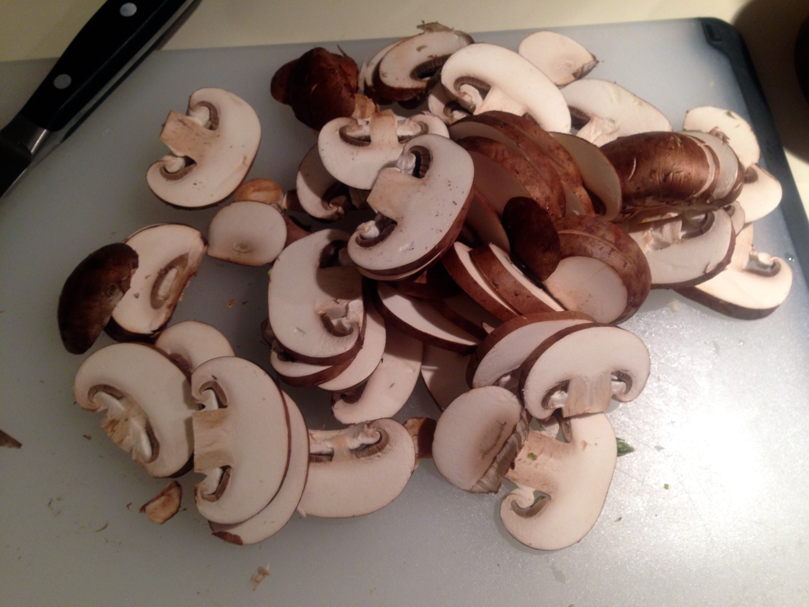 Sylvia plath mushrooms essay